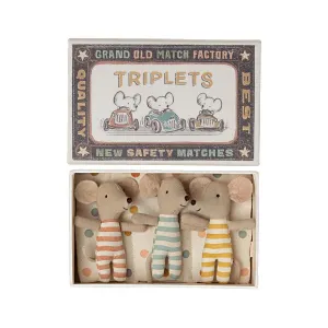 Baby Mice in Matchbox - Triplets