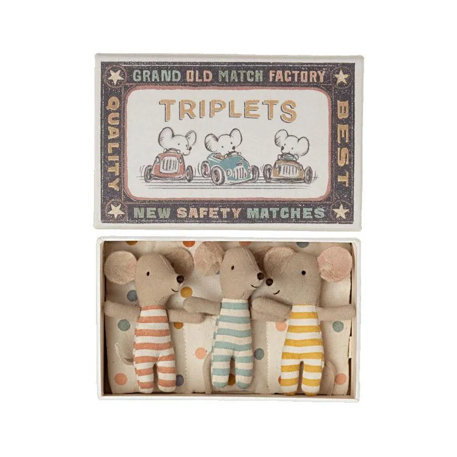 Baby Mice in Matchbox - Triplets