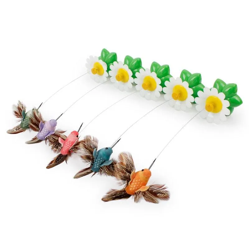Colorful Electric  Butterfly and Bird