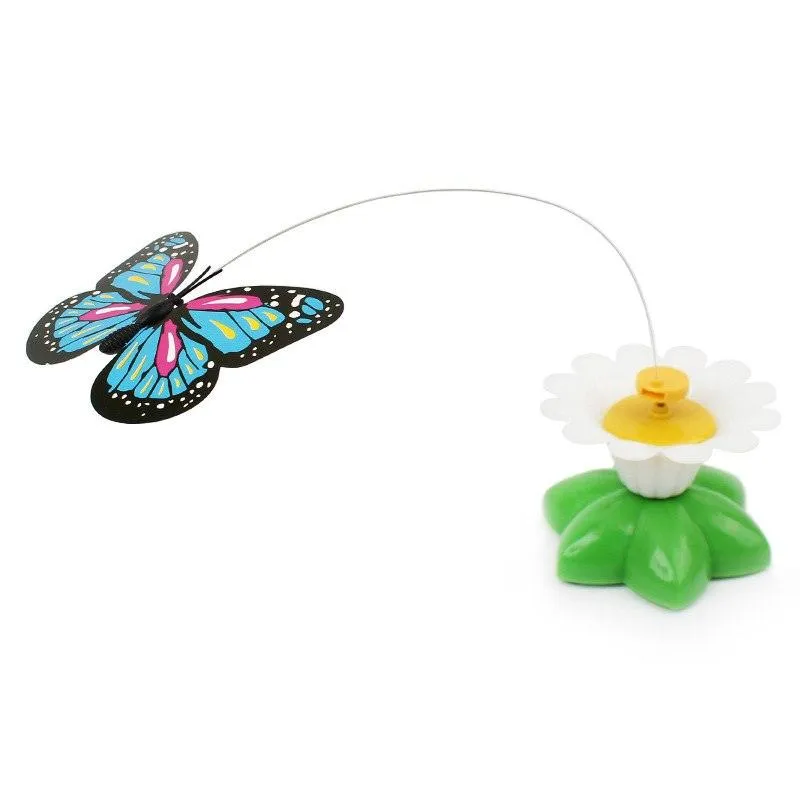 Colorful Electric  Butterfly and Bird