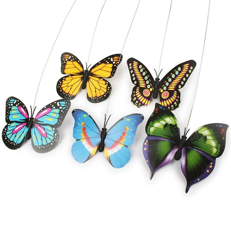 Colorful Electric  Butterfly and Bird