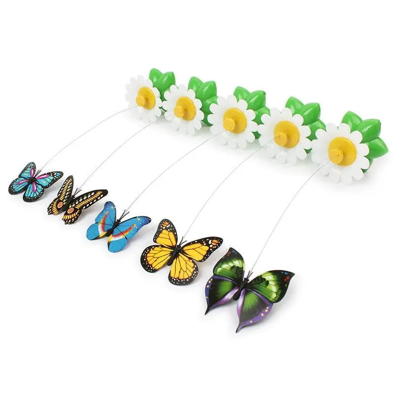 Colorful Electric  Butterfly and Bird