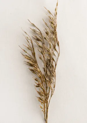 Faux Rice Grass Spray