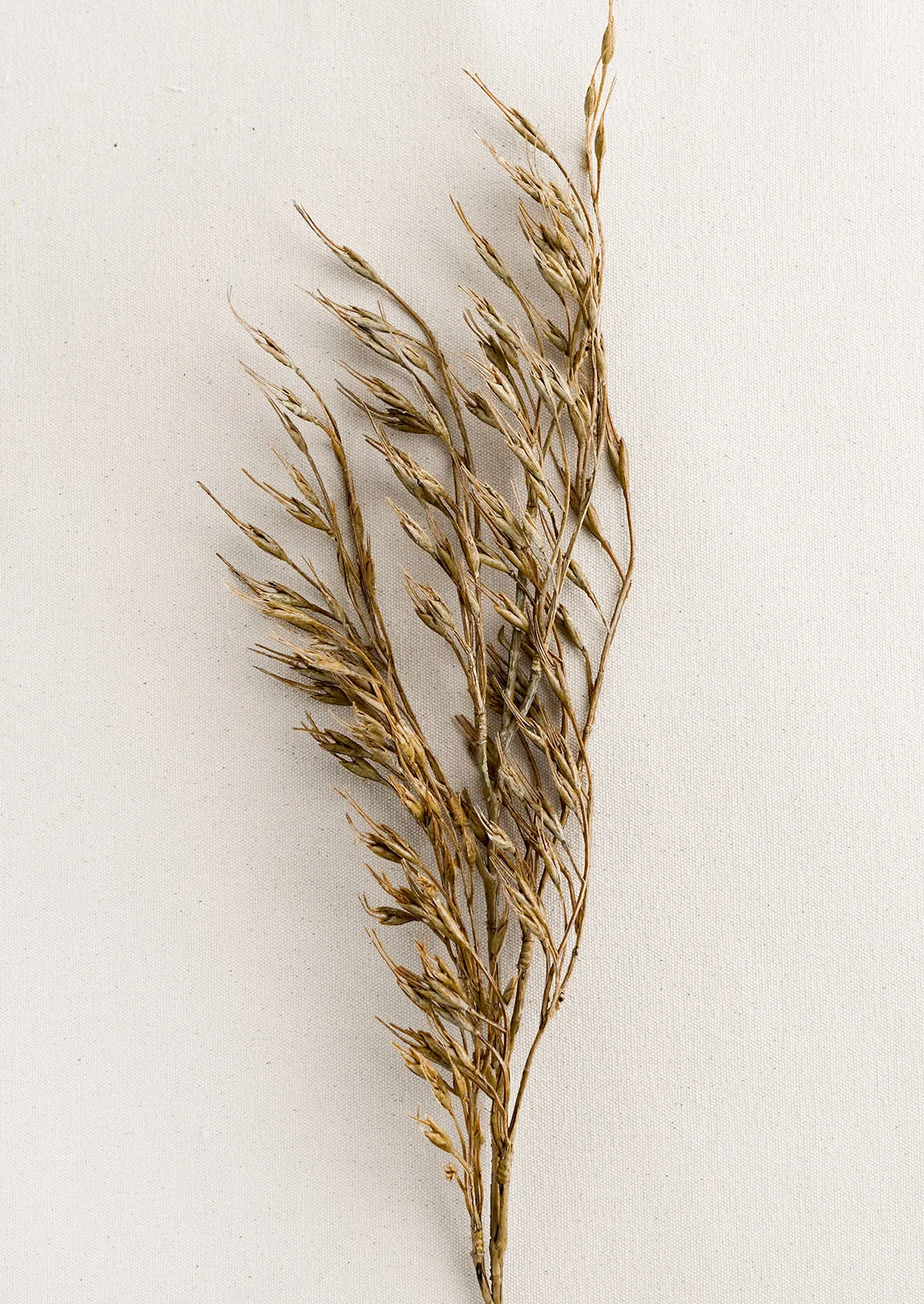 Faux Rice Grass Spray