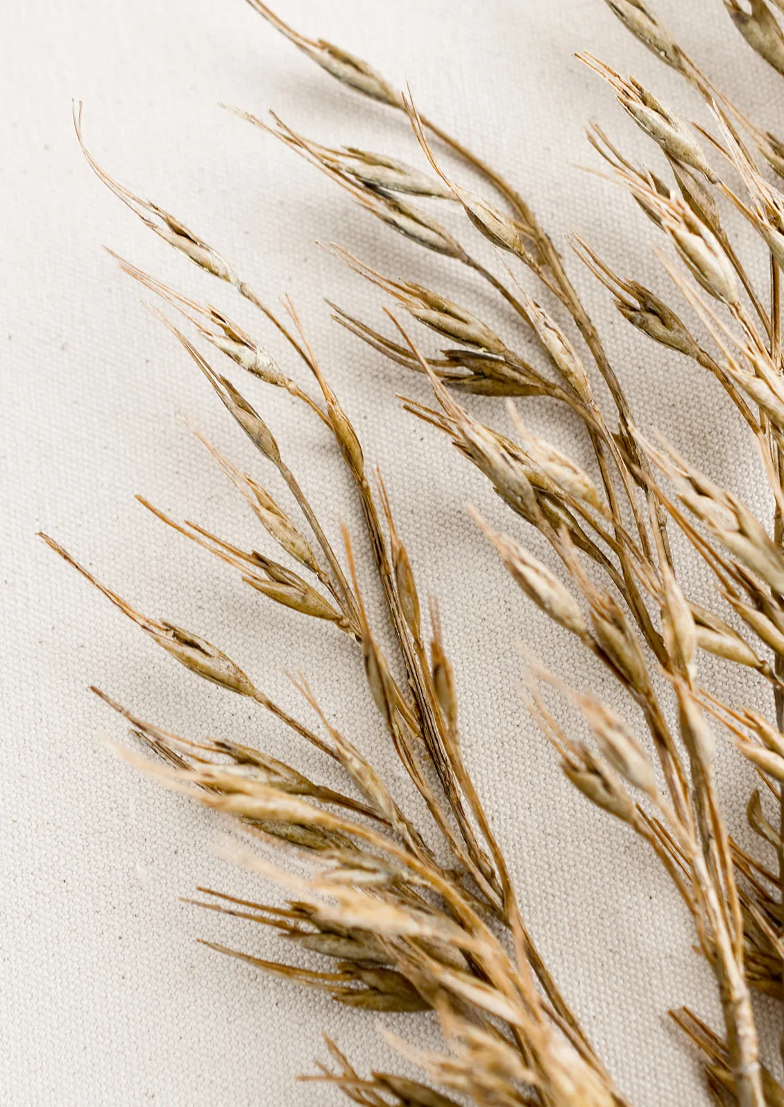 Faux Rice Grass Spray